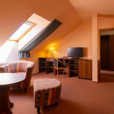 호텔 Hotel Mohelnice 모헬니체