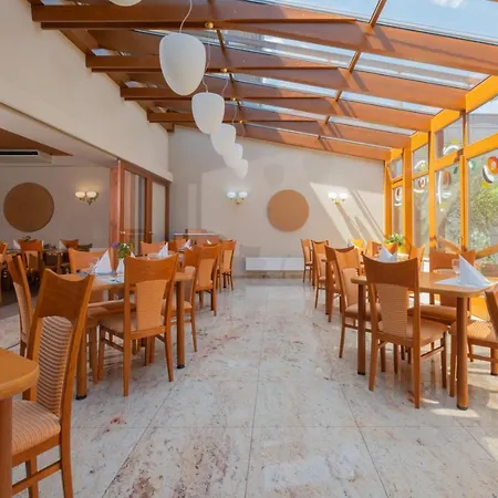 酒店 Hotel Mohelnice 3*