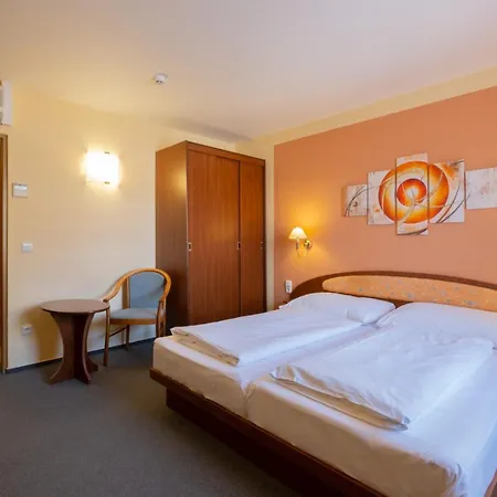 酒店 Hotel Mohelnice 3*