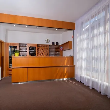 酒店 Hotel Mohelnice 3*