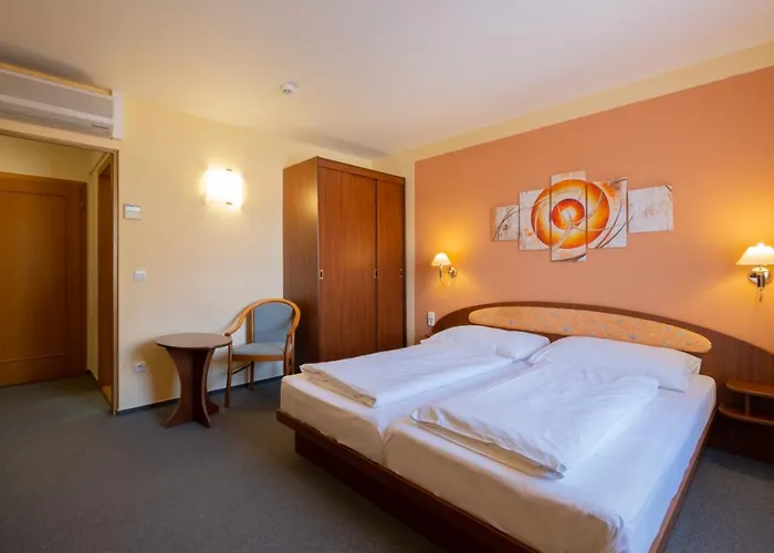 酒店 Hotel Mohelnice 3*