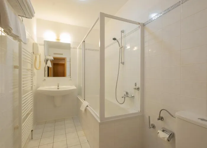 酒店 Hotel Mohelnice 3*